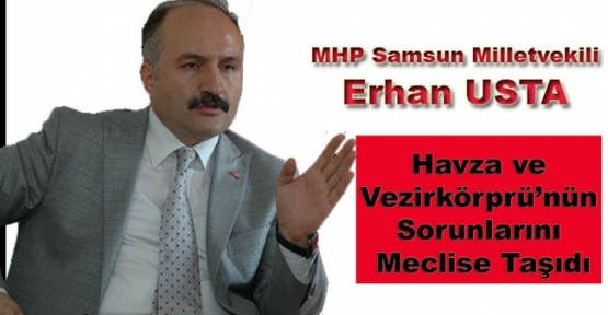 Erhan Usta Havza ve Vezirköprü'nün Sorunlarını Meclise Taşıdı